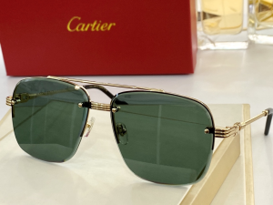 Cartier Luxury Sunglasses T8200270 