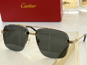 Cartier Luxury Sunglasses T8200270 