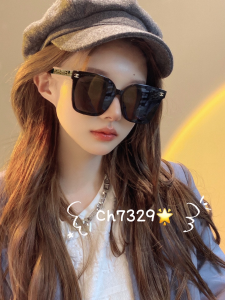Luxury Womens Sunglasses Chanel Luxury Sunglasses CH7329 A65PP180 AA168350