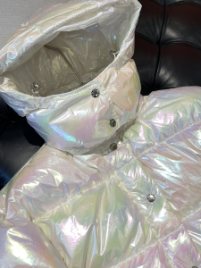 Luxury Womens Clothing Moncler Hooded Puffer Coat 012 A29PP1280 AA169633