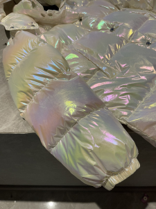 Luxury Womens Clothing Moncler Hooded Puffer Coat 012 A29PP1280 AA169633