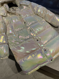 Luxury Womens Clothing Moncler Hooded Puffer Coat 012 A29PP1280 AA169633