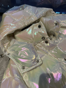 Luxury Womens Clothing Moncler Hooded Puffer Coat 012 A29PP1280 AA169633