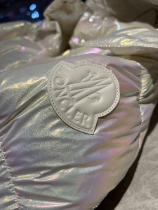 Luxury Womens Clothing Moncler Hooded Puffer Coat 012 A29PP1280 AA169633