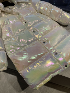 Luxury Womens Clothing Moncler Hooded Puffer Coat 012 A29PP1280 AA169633