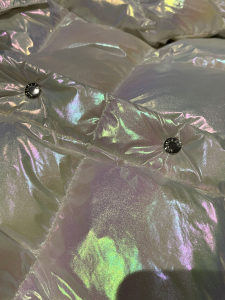 Luxury Womens Clothing Moncler Hooded Puffer Coat 012 A29PP1280 AA169633