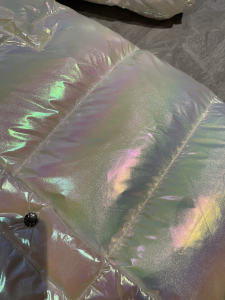 Luxury Womens Clothing Moncler Hooded Puffer Coat 012 A29PP1280 AA169633