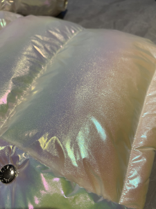 Luxury Womens Clothing Moncler Hooded Puffer Coat 012 A29PP1280 AA169633