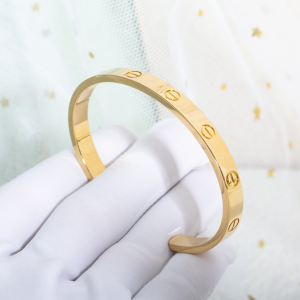 Luxury Womens Jewelry Cartier Bracelet Cartier Love Gold Bracelet A152PP300 AA169580