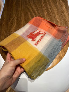 Luxury Womens Scarf Burberry Check Cashmere Silk Scarf 75x200CM A151PP240 AA169393