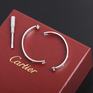 Luxury Womens Jewelry Cartier Bracelet Cartier Love Bracelet A205PP400 AA169773