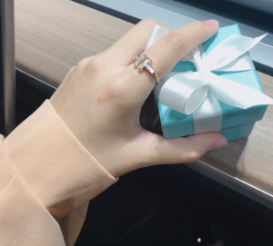 Luxury Womens Jewelry Tiffany Ring Tiffany T Wire Ring A205PP220 AA169782