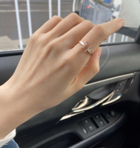 Luxury Womens Jewelry Tiffany Ring Tiffany T Wire Ring A205PP220 AA169782