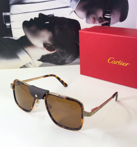 Cartier Luxury Sunglasses CT10263 
