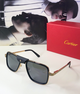 Cartier Luxury Sunglasses CT10263 