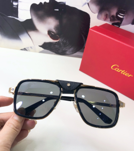 Luxury Womens Sunglasses Cartier Luxury Sunglasses CT10263 A182PP150 AA169730