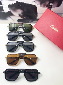 Luxury Womens Sunglasses Cartier Luxury Sunglasses CT10263 A182PP150 AA169730