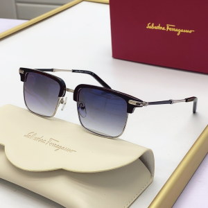Ferragamo Luxury Sunglasses SF227S 