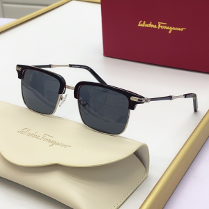 Ferragamo Luxury Sunglasses SF227S 