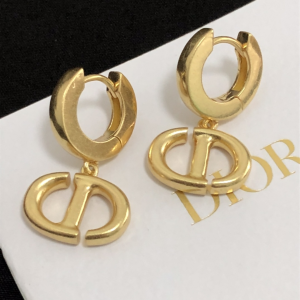 Luxury Womens Jewelry Dior Earring Dior Gold CD Navy Earrings A39PP110 AA170637