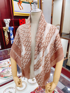 Luxury Womens Scarf Dior Oblique Silk Scarf in Brown 100x200A151PP260 AA170953