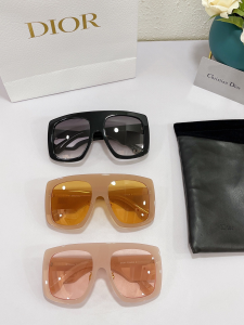 Luxury Womens Sunglasses Dior Luxury Sunglasses POWER 2 A182PP150 AA171409