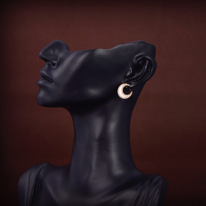 Luxury Womens Jewelry Celine Earring Celine Crystals Moon Earrings A152PP110 AA172767