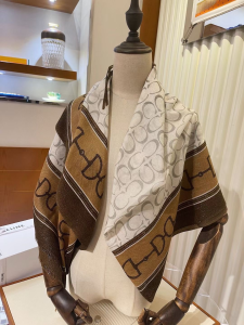 Luxury Womens Scarf Celine Cashmere Silk Scarf in Brown 110x200CM A151PP260 AA173205