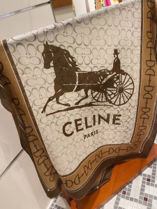Luxury Womens Scarf Celine Cashmere Silk Scarf in Brown 110x200CM A151PP260 AA173205