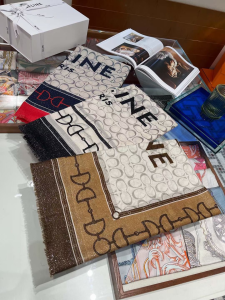 Luxury Womens Scarf Celine Cashmere Silk Scarf in White 110x200CM A151PP260 AA173206