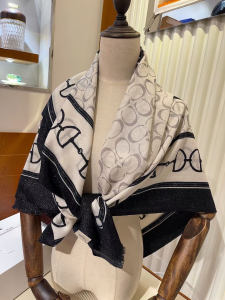 Luxury Womens Scarf Celine Cashmere Silk Scarf in White 110x200CM A151PP260 AA173206