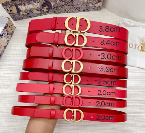 Dior 2022 Red Leather Belt 
