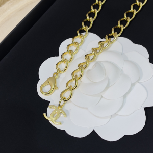 Luxury Womens Jewelry Chanel Necklace Chain Pendant Necklace A205PP280 AA174143