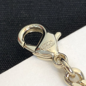 Luxury Womens Jewelry Chanel Necklace Chanel Padlock Chain Necklace A39PP160 AA174182
