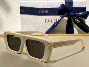 Dior Luxury Sunglasses SIGNATURE S2U 