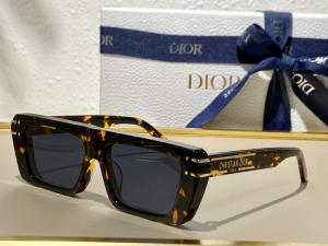 Dior Luxury Sunglasses SIGNATURE S2U 
