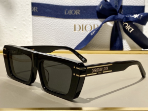 Dior Luxury Sunglasses SIGNATURE S2U 