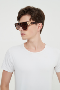 Replica Mens Sunglasses Balmain Luxury Sunglasses BPS188 Brown A182PP180 AA175367