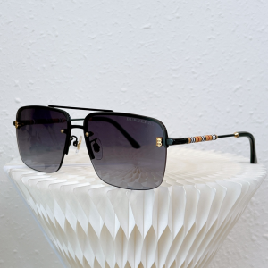 Burberry Luxury Sunglasses BE5006 