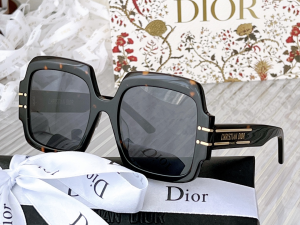 Dior Luxury Sunglasses Signature S1U 