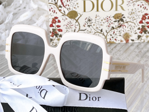 Dior Luxury Sunglasses Signature S1U 