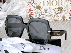 Dior Luxury Sunglasses Signature S1U 