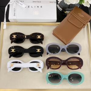 Luxury Womens Sunglasses Celine Luxury Sunglasses VE4S194 A65PP180 AA175667