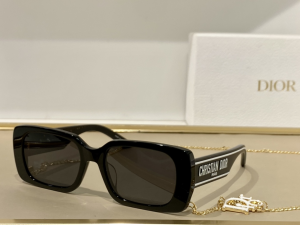 Dior Luxury Sunglasses Wildior S2U 
