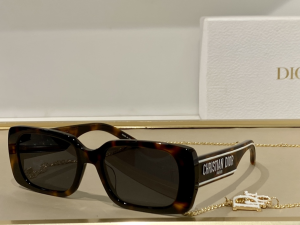 Dior Luxury Sunglasses Wildior S2U 