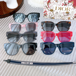 Replica Womens Sunglasses Dior Replica Sunglasses Wildior BU A65PP180 AA177907