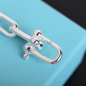 Replica Womens Jewelry Tiffany HardWear Link Necklace Silver A205PP260 AA178955