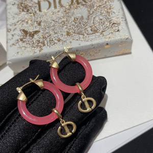 Dior CD Navy Earrings 