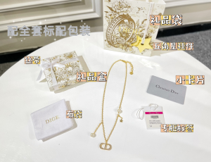 Replica Womens Jewelry Dior VIP Petit CD Chain Necklaces A62PP180 AA179958