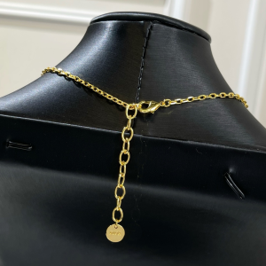 Replica Womens Jewelry Dior VIP Petit CD Chain Necklaces A62PP180 AA179958